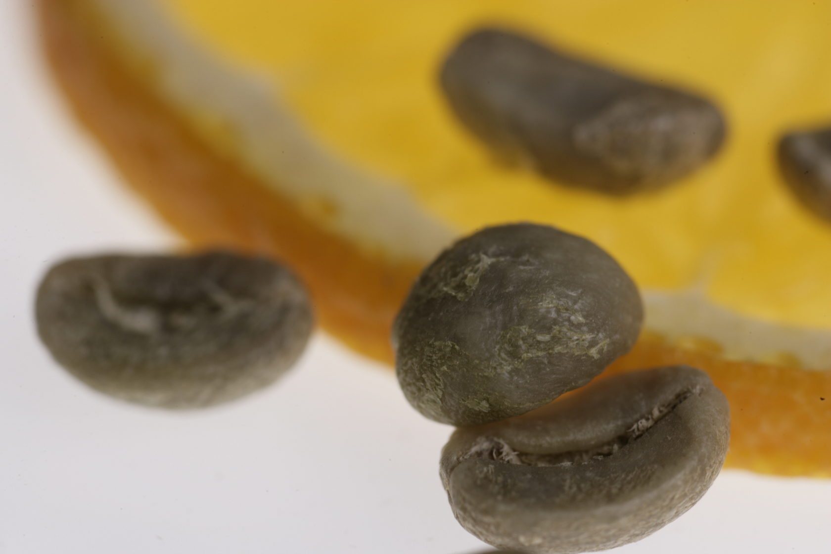 Imagen destacada de David Barranco